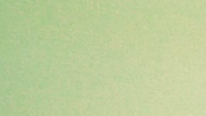 Photo by Myai Anthony