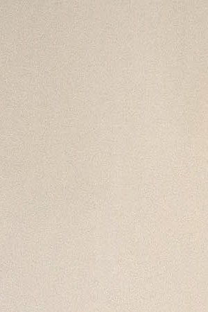 Photo by Yamila Guns