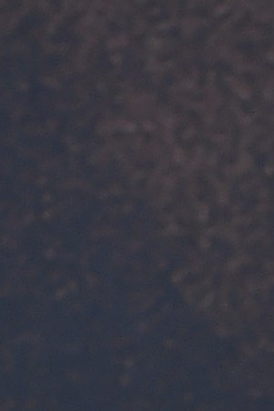 LOS ANGELES, CALIFORNIA - MARCH 01: Al Madrigal attends the premiere of Warner Bros Pictures' "The Way Back" at Regal LA Live on March 01, 2020 in Los Angeles, California.