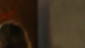 LOS ANGELES, CALIFORNIA - SEPTEMBER 25: Ariana DeBose attends The Academy Museum of Motion Pictures Opening Gala at The Academy Museum of Motion Pictures on September 25, 2021 in Los Angeles, California.