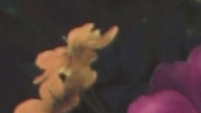 LOS ANGELES, CALIFORNIA - JANUARY 24: Becky G attends Instagram's GRAMMY Luncheon on January 24, 2020 in Los Angeles, California.