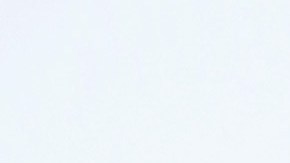 NEW YORK, NEW YORK - JUNE 20: Actor Colman Domingo attends the "The God Committee" premiere during the 2021 Tribeca Festival at Brooklyn Commons at MetroTech on June 20, 2021 in New York City.