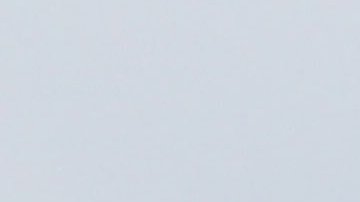 Dayana Falcon headshot