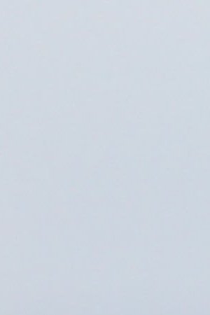 Dayana Falcon headshot