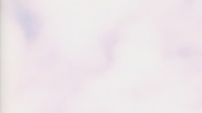 Photo by Victor Duarte.