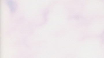 Photo by Victor Duarte.