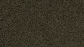 ON MY BLOCK (L to R) Bryana Salaz, Keyla Monterroso Mejia, Ciara Riley Wilson, and Shiv Pai in episode 410 of ON MY BLOCK