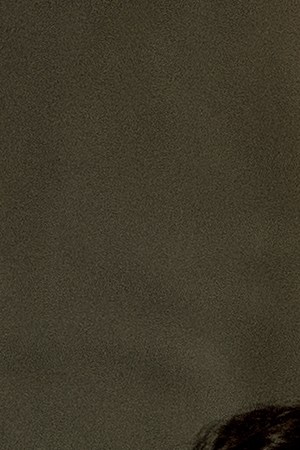 ON MY BLOCK (L to R) Bryana Salaz, Keyla Monterroso Mejia, Ciara Riley Wilson, and Shiv Pai in episode 410 of ON MY BLOCK