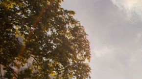 Photo by Joao Bolan/SOPA Images/LightRocket via Getty Images.