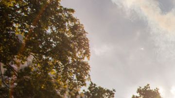 Photo by Joao Bolan/SOPA Images/LightRocket via Getty Images.