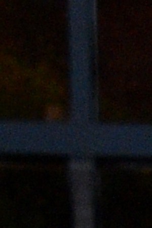 Photo by Gregg DeGuire/Getty Images for Bretman Rock.