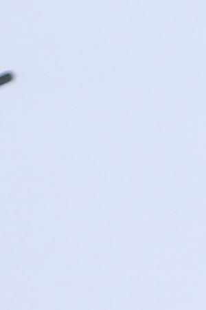 Photo by Jerritt Clark/Getty Images for Savage X Fenty Show Vol. 2 Presented by Amazon Prime Video.