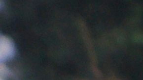 Photo by Gerardo Vieyra/NurPhoto via Getty Images.