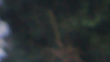 Photo by Gerardo Vieyra/NurPhoto via Getty Images.