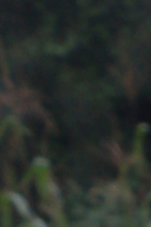 Photo by Gerardo Vieyra/NurPhoto via Getty Images.