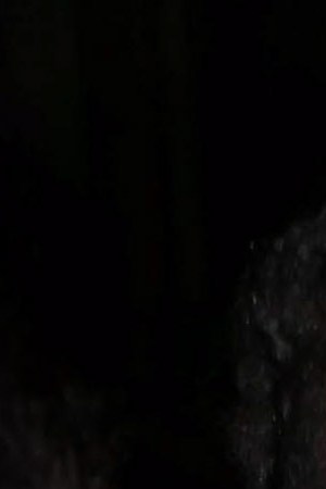 Photo by Neil Warner/MEGA/GC Images.