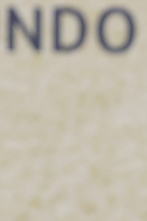 Photo by Rodrigo Varela/Getty Images.