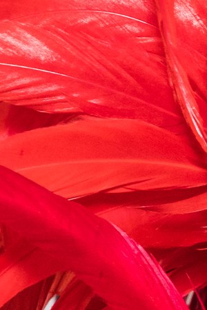 Photo by Richard Bord/WireImage.