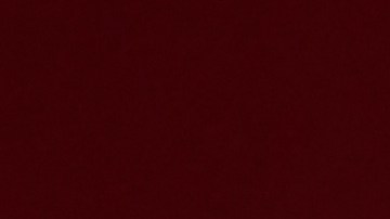 Photo by Michelle Arcila