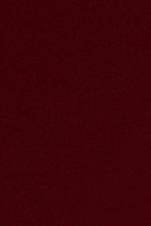 Photo by Michelle Arcila