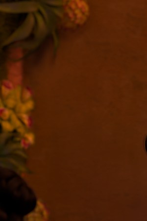 Maluma as Mariano in Disney's Encanto