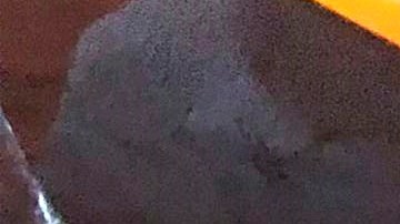 East Meadow, N.Y.: Mangu (mashed plantains) with shrimp, eggs and avocado at NuVo Kitchen, a Caribbean eatery in East Meadow, New York, on September 7, 2021.