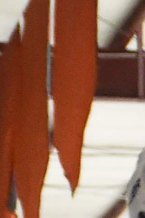 EL PASO, TX - OCTOBER 3: Clayton Keller #9 of the Arizona Coyotes walks to the locker room during the 2020 Kraft Hockeyville game against the Dallas Stars at the El Paso Community Events Center on October 3, 2021 in El Paso, Texas.