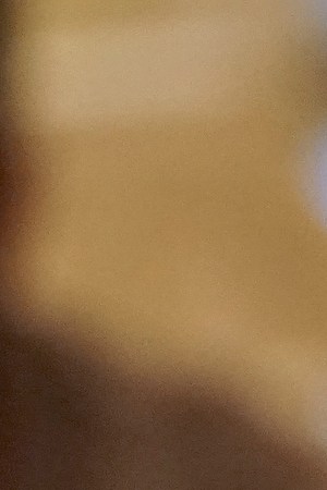 Nadine Velazquez in Queens