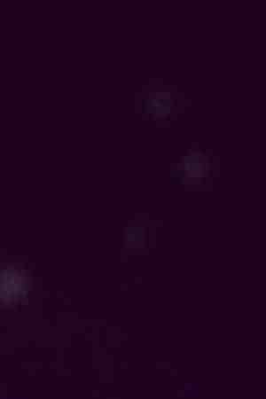 Nike Dia de Los Muertos Siempre Familia Shoe LIne