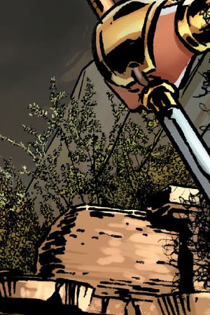 Nubia and the Amazons from DC Comics