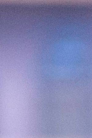 Diego Luna in Pan y Circo