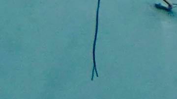 Celebration banner in streets of Old San Juan Puerto Rico