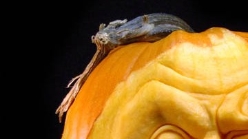 Pumpkin carving by Ray Villafane