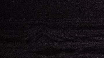 Photo by David Araujo