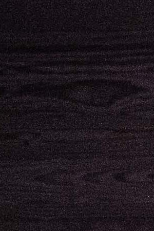 Photo by David Araujo