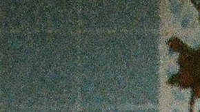 TRP__NEW_Luis-Martinez