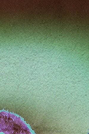 Art by Stephany Torres for Remezcla.