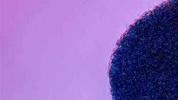 Photo by Monik Molinet