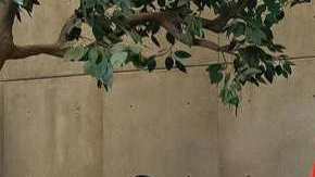 Rebelde Cast on Netflix