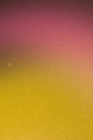 Art by Stephany Torres for Remezcla.