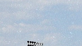 Art by Stepany Torres for Remezcla.