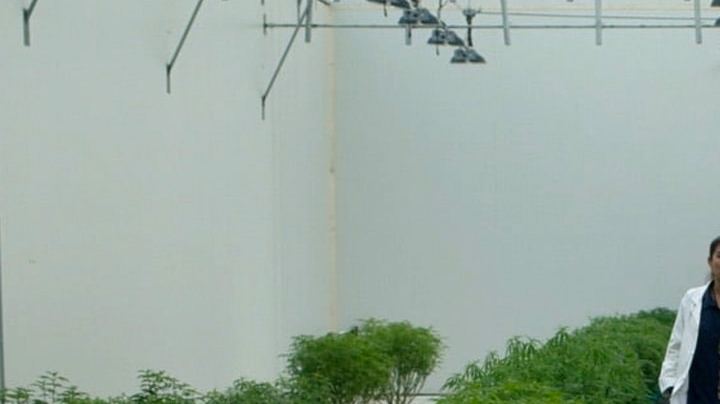 malayrb-screen