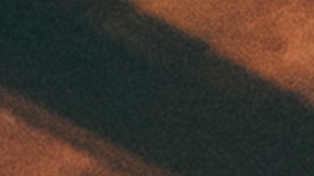 Photo by Guillermo Visuals.