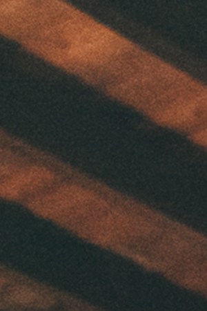 Photo by Guillermo Visuals.