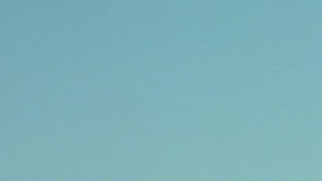 Photo by Carlos Jaramillo