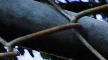 HOUSTON, TX - NOVEMBER 07: A t-shirt and balloons are placed at a memorial outside of the canceled Astroworld festival at NRG Park on November 7, 2021 in Houston, Texas. According to authorities, eight people died and 17 people were transported to local hospitals after what was described as a crowd surge at the Astroworld festival, a music festival started by Houston-native rapper and musician Travis Scott in 2018.