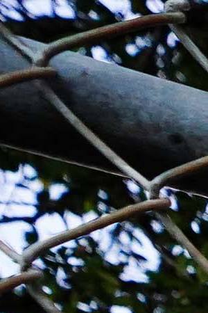 HOUSTON, TX - NOVEMBER 07: A t-shirt and balloons are placed at a memorial outside of the canceled Astroworld festival at NRG Park on November 7, 2021 in Houston, Texas. According to authorities, eight people died and 17 people were transported to local hospitals after what was described as a crowd surge at the Astroworld festival, a music festival started by Houston-native rapper and musician Travis Scott in 2018.