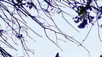 HOUSTON, TX - NOVEMBER 07: A visitor writes a note at a memorial outside of the canceled Astroworld festival at NRG Park on November 7, 2021 in Houston, Texas. According to authorities, eight people died and 17 people were transported to local hospitals after what was described as a crowd surge at the Astroworld festival, a music festival started by Houston-native rapper and musician Travis Scott in 2018.