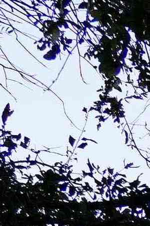 HOUSTON, TX - NOVEMBER 07: A visitor writes a note at a memorial outside of the canceled Astroworld festival at NRG Park on November 7, 2021 in Houston, Texas. According to authorities, eight people died and 17 people were transported to local hospitals after what was described as a crowd surge at the Astroworld festival, a music festival started by Houston-native rapper and musician Travis Scott in 2018.
