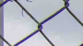 HOUSTON, TEXAS - NOVEMBER 09: A woman views a memorial dedicated to those who died at the Astroworld festival outside of NRG Park on November 09, 2021 in Houston, Texas. Eight people were killed and dozens injured last Friday in a crowd surge during a Travis Scott concert at the Astroworld music festival. Several lawsuits have been filed against Scott, and authorities continue investigations around the event. Scott, a Houston-native rapper and musician, launched the festival in 2018.